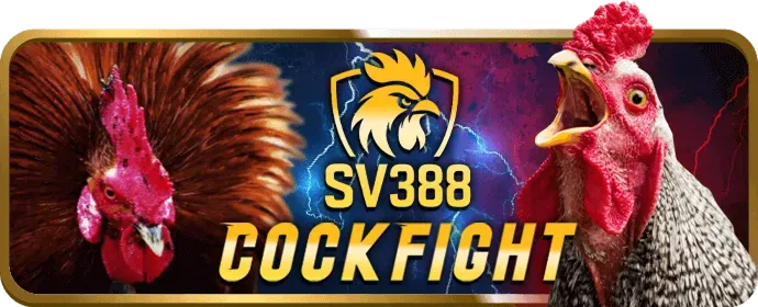 Mẹo thành công tại VN88VC